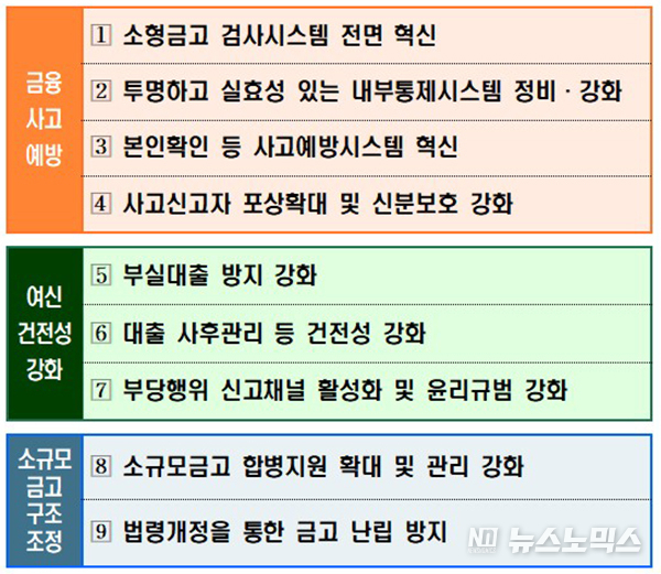 새마을금고 건전성 강화 등 종합대책 9대 추진과제/행정안정부 제공