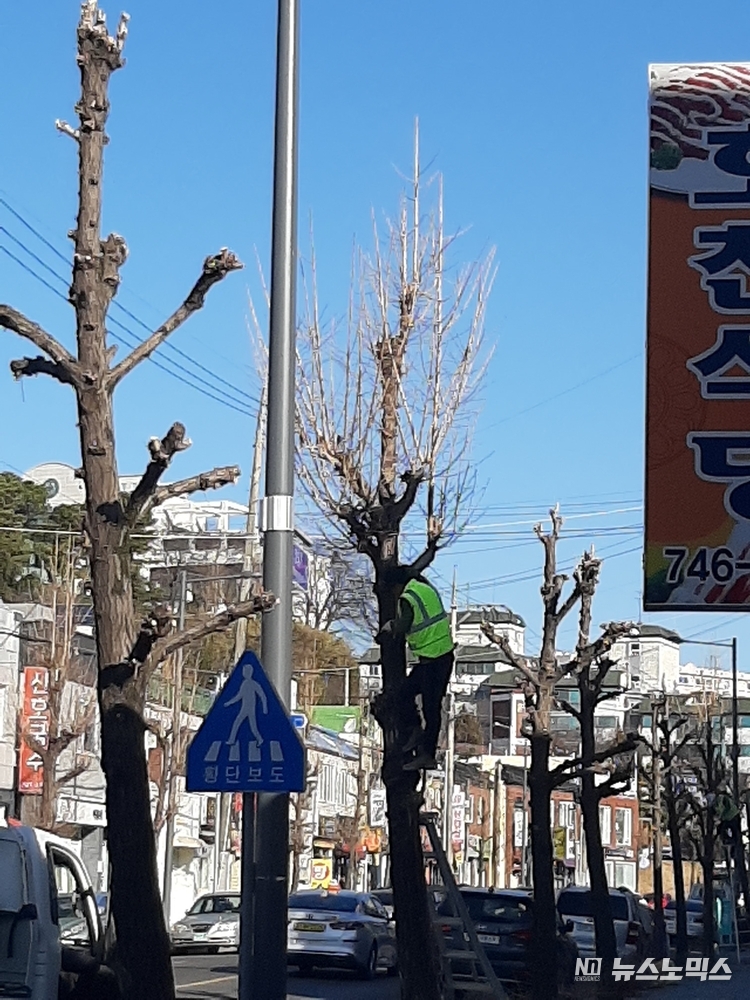 /사진=진주환경운동연합