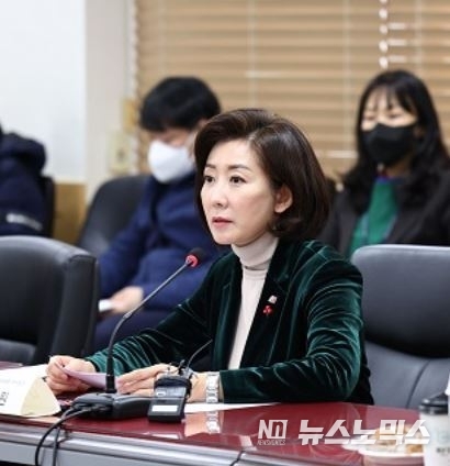 나경원 저출산고령사회위원회 부위원장이 지난 28일 정부서울청사에서 열린 제2차 인구미래전략 관계부처 차관회의를 주재하고 있다./사진=저출산고령사회위원회