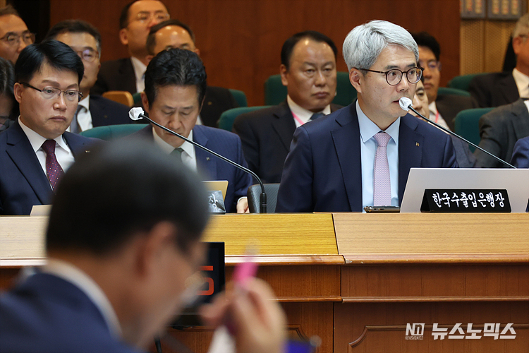 윤희성 한국수출입은행장이 24일 서울 영등포구 한국수출입은행 본점에서 열린 국회 기획재정위원회 한국수출입은행·한국조폐공사·한국투자공사·한국재정정보원·한국원산지정보원에 대한 국정감사에서 의원 질의에 답하고 있다. ⓒ정의철 기자