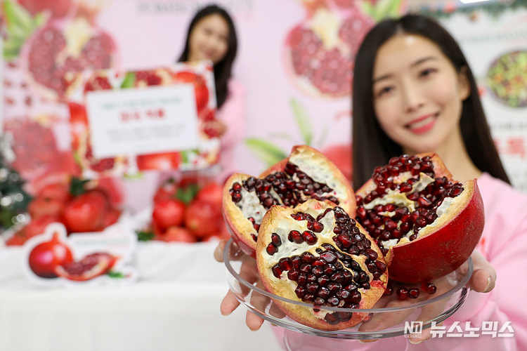 17일 서울 중구 롯데마트 서울역점에서 '미국 석류' 출시를 알리는 홍보행사를 하고 있다. 미국 캘리포니아에서 주로 생산된 석류는 일조량이 풍부하고 강우량이 적당해 과육이 크고 단단한 것이 특징으로 면역 관리에 도움을 준다. ⓒ정의철 기자