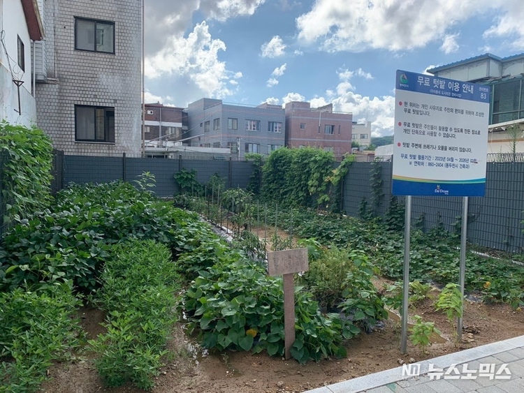 빈집정비사업 일환으로 빈집 터을 마을텃밭 원으로 조성, 시민에게 되돌려 줬다.