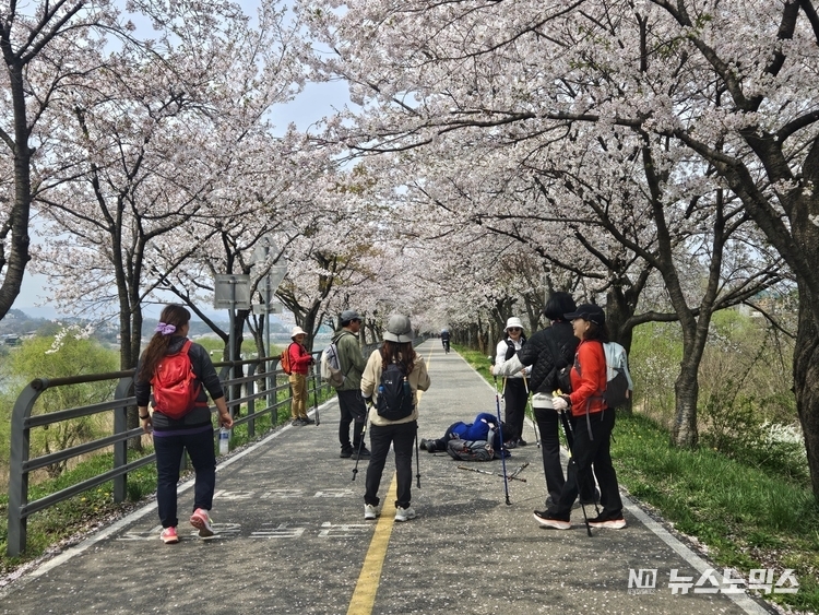 '걸을레오 여행' 트래킹 동호인들이 양평 벚꽃길에서 휴식을 취하며 기념 사진들을 찍고 있는 모습