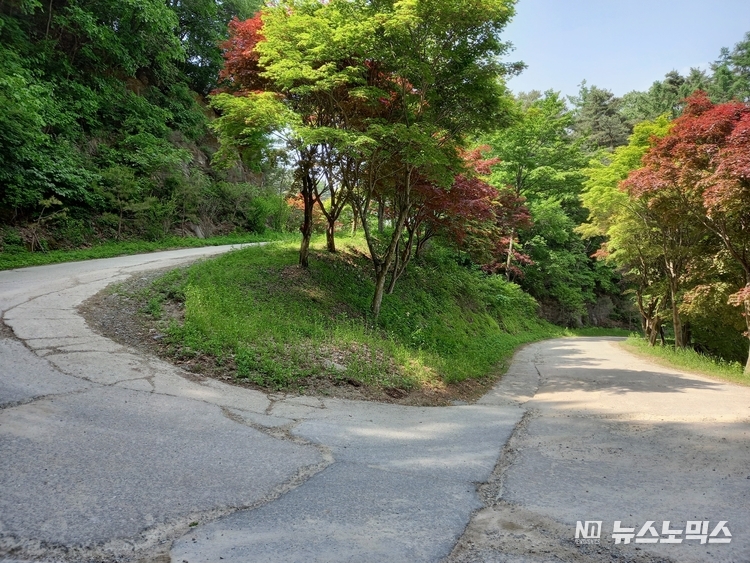 구인사 뒷쪽 굽이길 모습