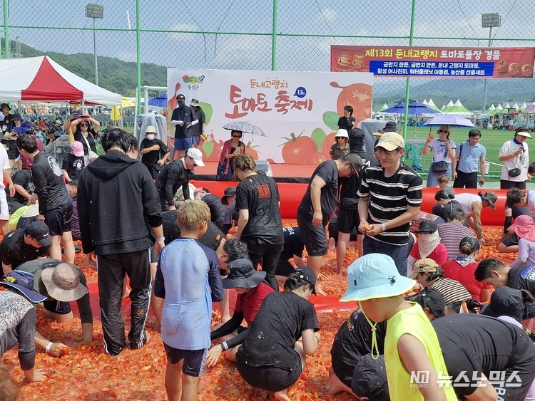 둔내고랭지토마토축제 토마토 풀장에서 축제를 즐기고 있는 참가자 분들의 모습