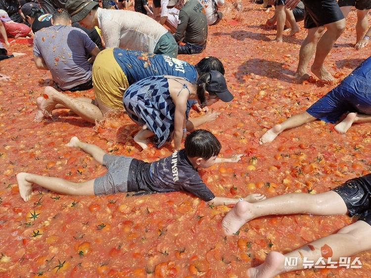둔내고랭지토마토축제 토마토 풀장에서 금반지 찾기 행사에 참여한 어린이들의 모습