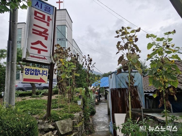 원주시 귀래면 '시골 막국수' 가게 입구 모습