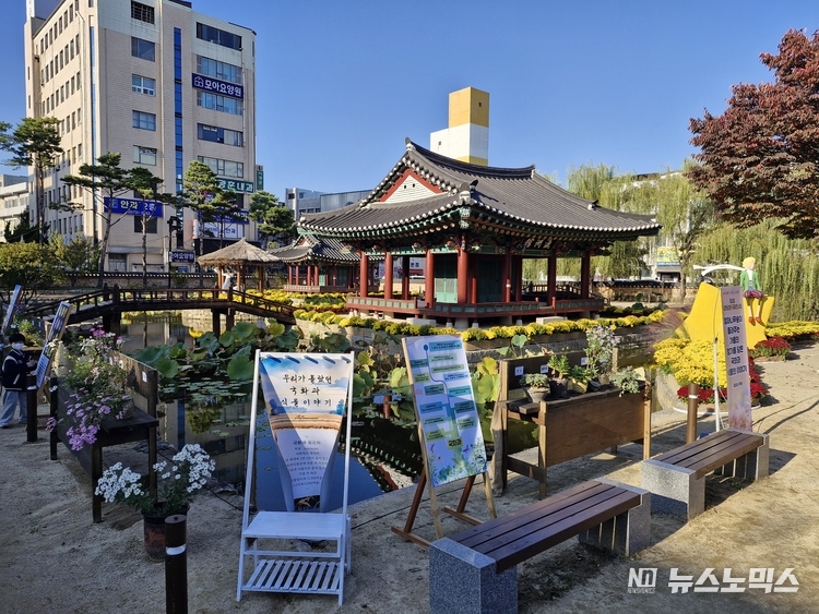 제2회 강원감영 국화전시회 모습