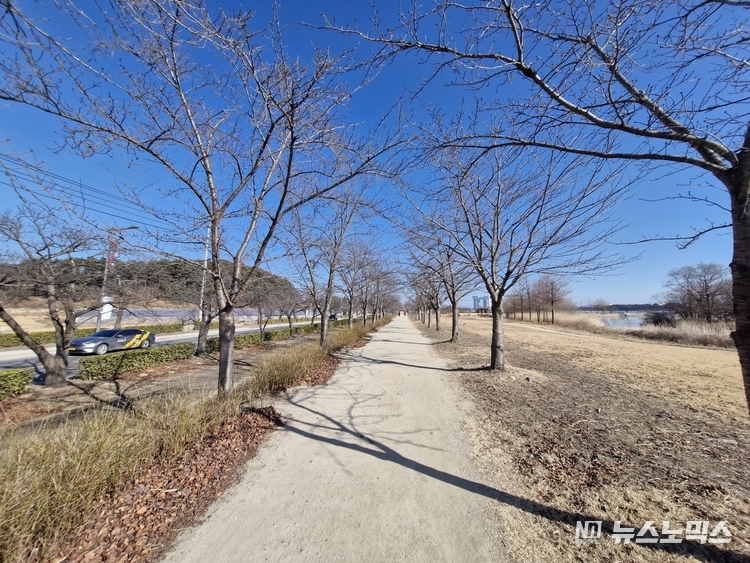 경포호 산책로 모습