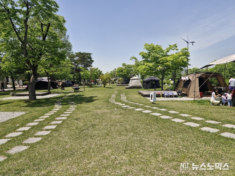 여주 금은모래강변공원 내 캠핑장 모습
