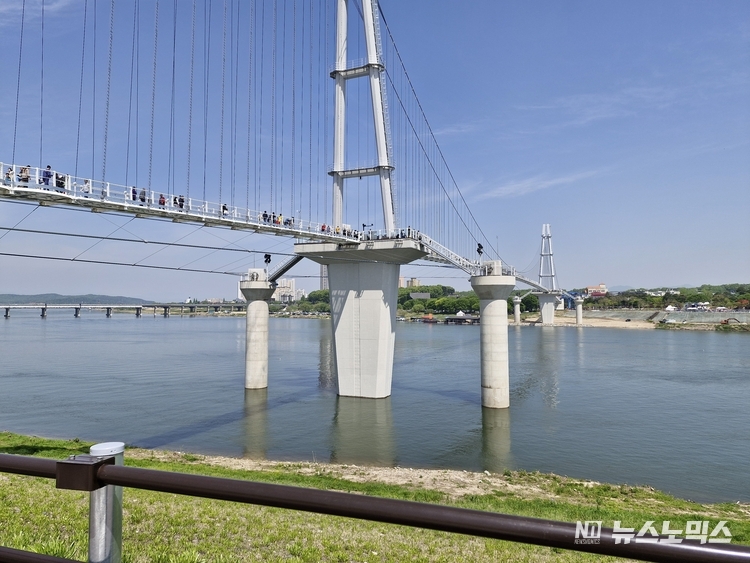 5월1일 개장한 여주 출렁다리를 건너고 있는 관광객들 모습