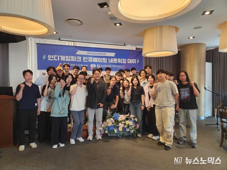충남콘텐츠진흥원은 지난 7월 14일 인디게임파크 인큐베이팅 네트워킹 행사를 개최했다/제공=충남콘텐츠진흥원