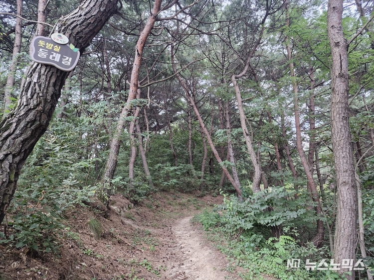 영주 돗밤실 둘레길