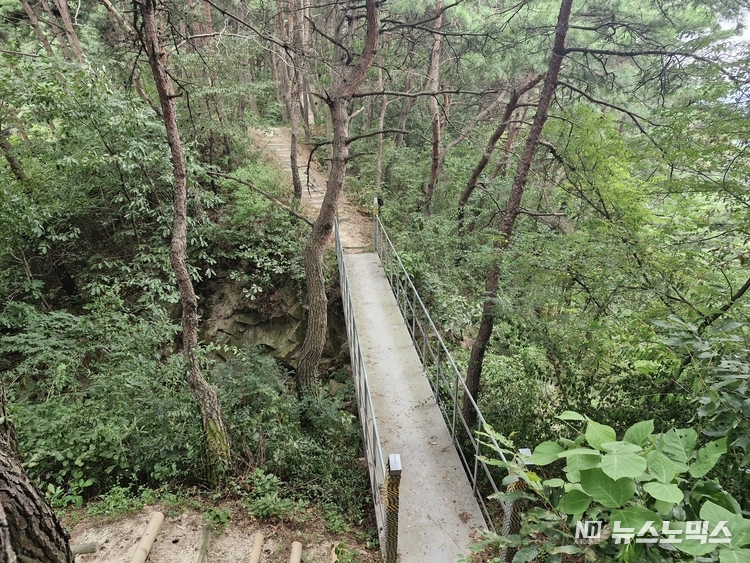 영주 돗밤실 둘레길 출렁다리