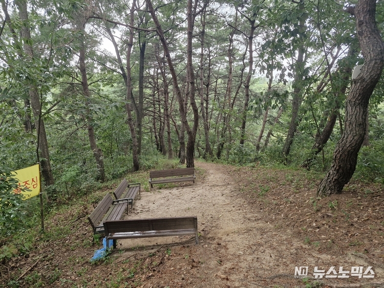 돗밤실 둘레길 벤취 의자