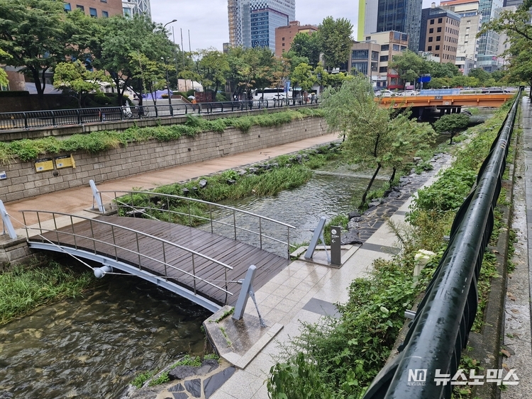 복원된 청계천 일대 모습