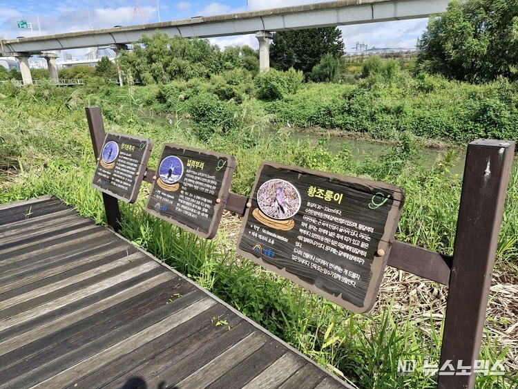 청계천 하류 조류 관찰지 모습