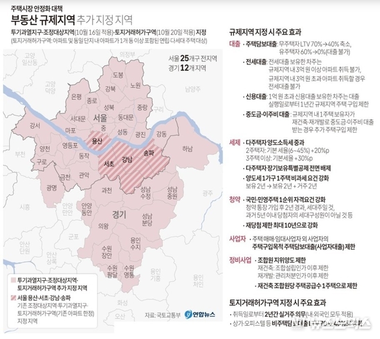 부동산 규제지역 추가 지정 지역/그래픽=연합뉴스