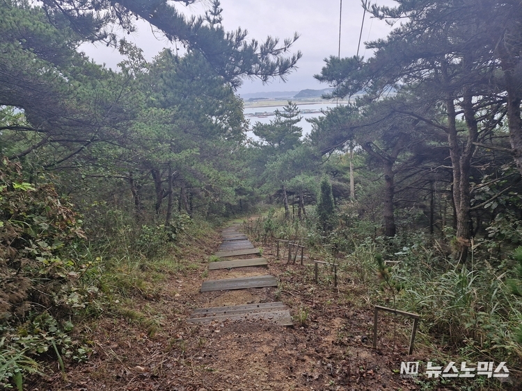 삼길산 하산길에 보이는 삼길포항 선상낚시터